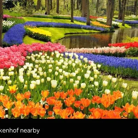 Family House With Garden & Jacuzzi & Sauna Near Amsterdam Vijfhuizen